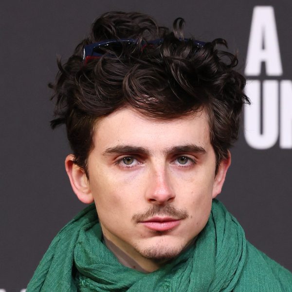 Timothée Chalamet Hair: Textured Curly Hairstyle